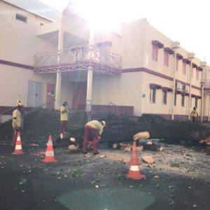Chantier d'élagage